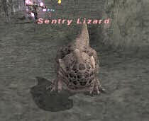 Sentry Lizard Picture